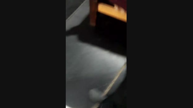 cockbig20  12-09-2023