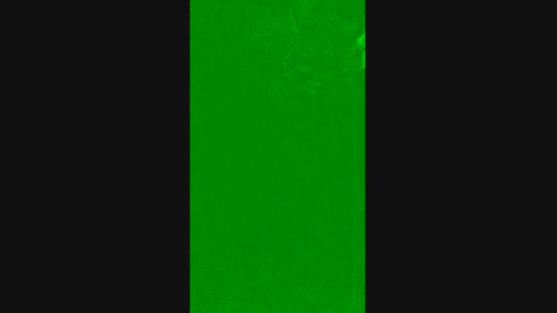 trunky_boi  12-09-2023
