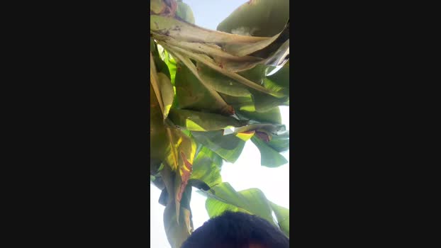 Pedrocam140503  17-09-2023