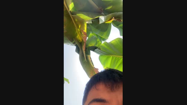 Pedrocam140503  17-09-2023
