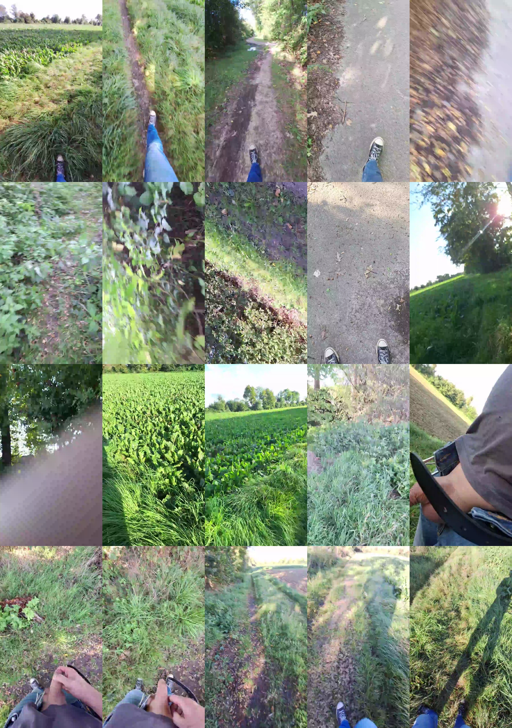 widder35  18-09-2023