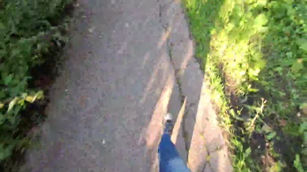 widder35  18-09-2023
