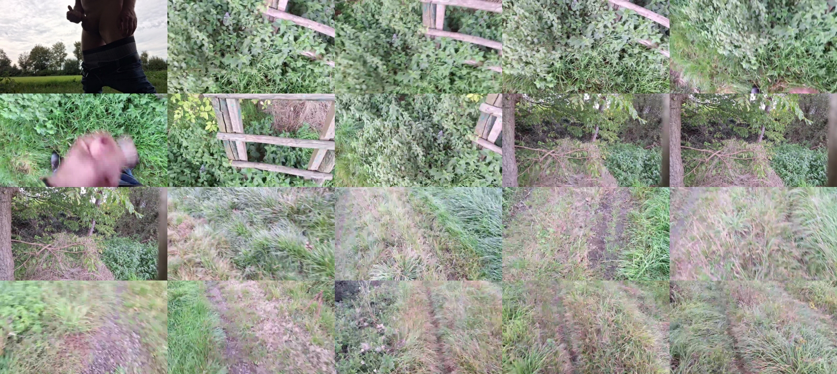 widder35  26-09-2023