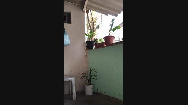 FelipeMathias  27-09-2023