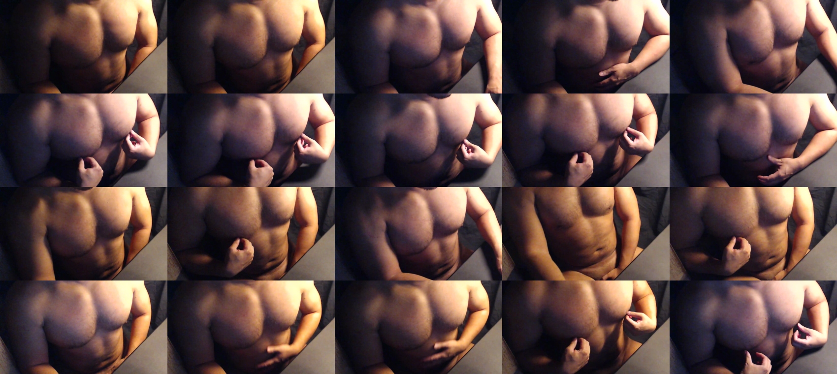 plutobear  26-09-2023
