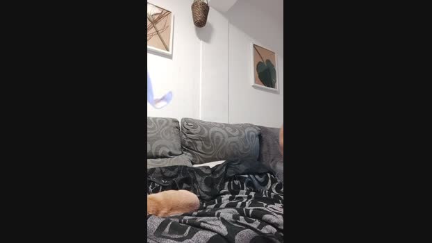 Ferezferez  02-10-2023