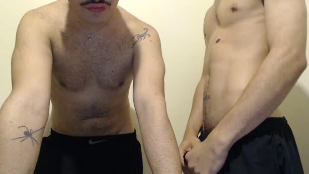 Reedtwink  12-10-2023