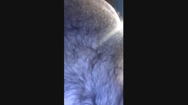 chewy1lb  28-10-2023