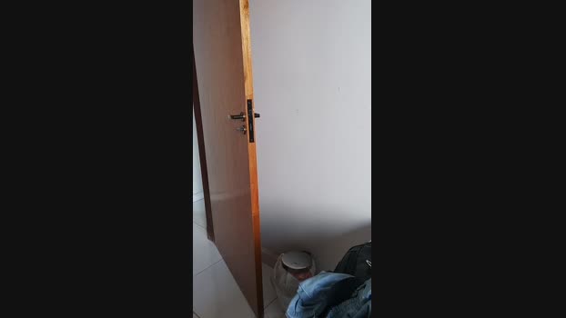 Petreli  29-10-2023