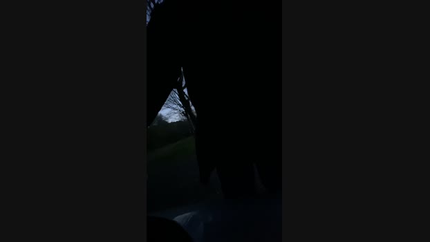 darksecret_Lar  02-11-2023
