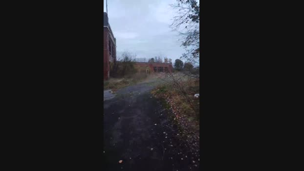 publicexib1  08-11-2023