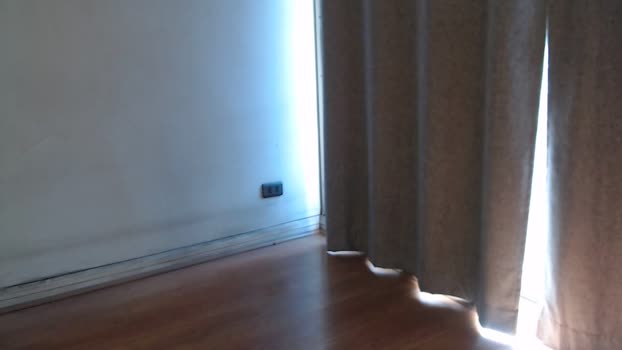25x6cms  13-11-2023