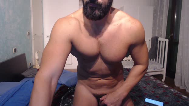 muscoloporco  14-11-2023