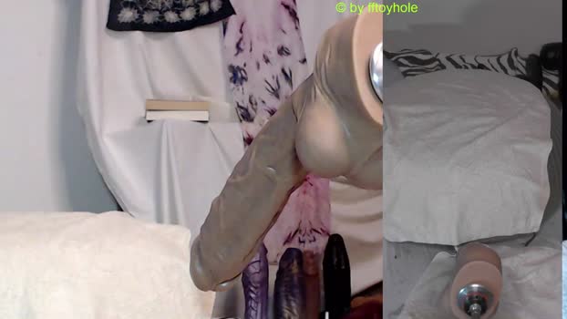 fftoyhole  18-11-2023
