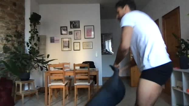 boxer_hot4  23-11-2023