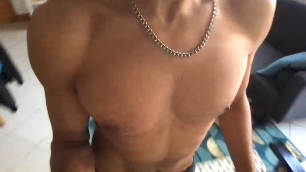boxer_hot4  24-11-2023