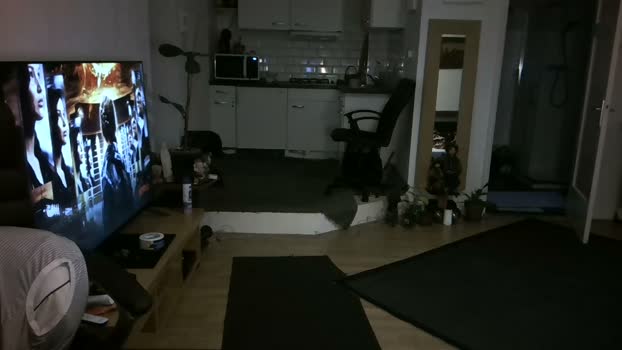 mihaimichael  26-11-2023