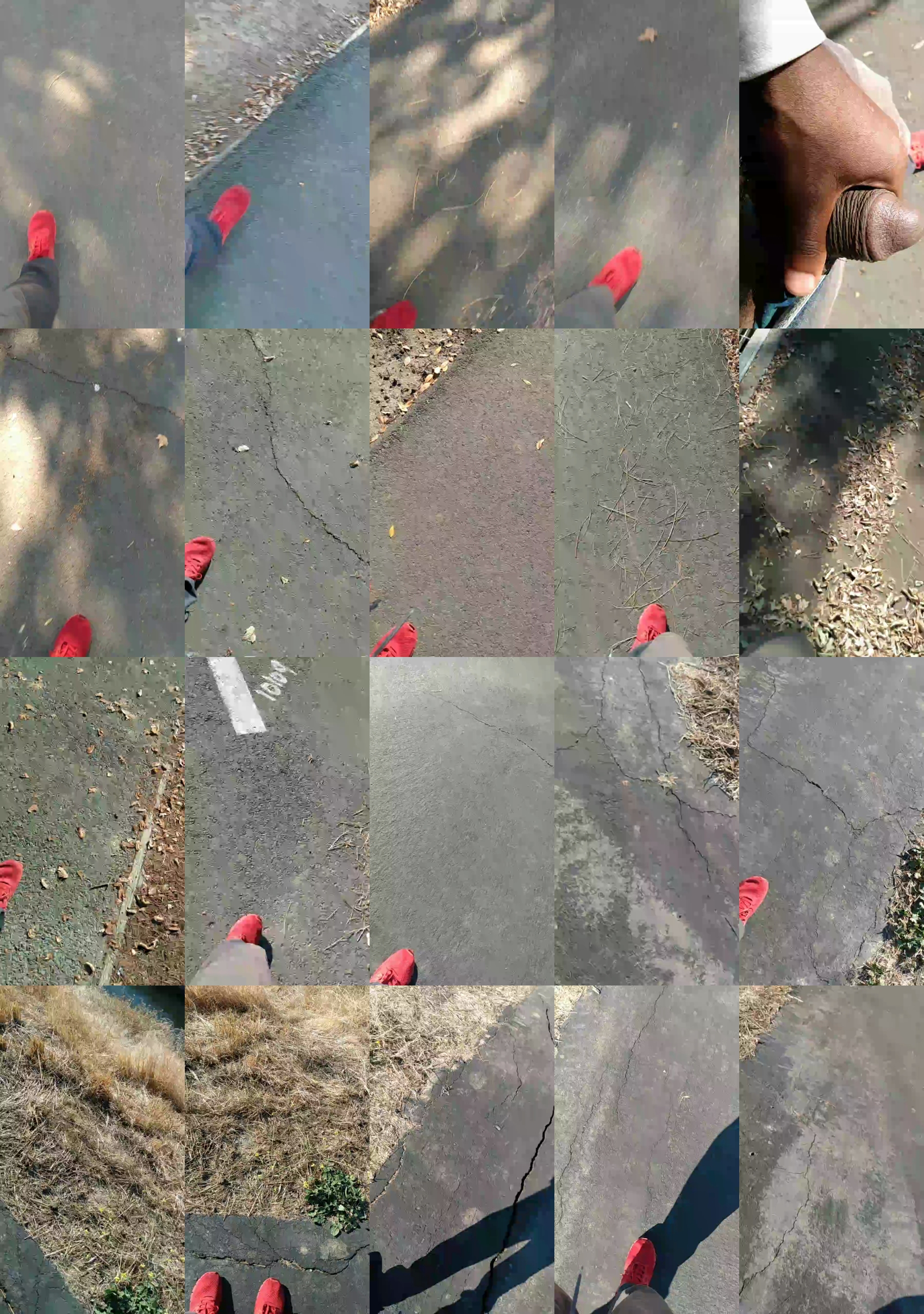 Silkworm_Piper  27-11-2023
