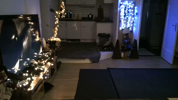 mihaimichael 06-12-2023