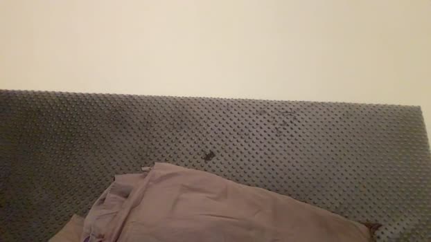 Thony_Grey 23-12-2023