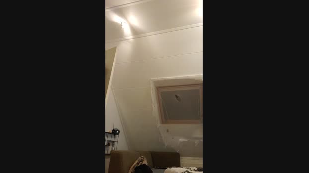HornyPornyGuy 25-12-2023