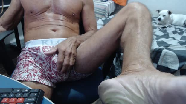 safadao104 01-01-2024