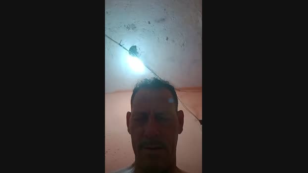 Jstodentro 04-01-2024