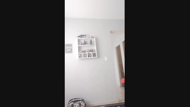 Gamer_Lol 08-01-2024