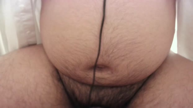 torotorobear_jp 10-01-2024
