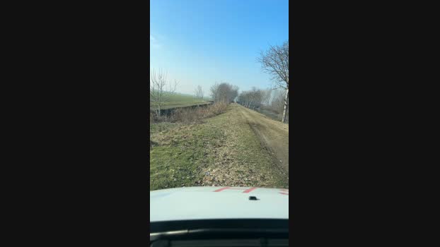 Edward_venezia 25-01-2024