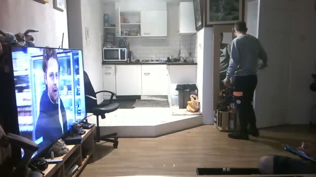 mihaimichael 26-01-2024