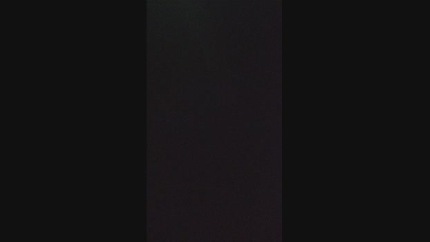 polli_play 27-01-2024