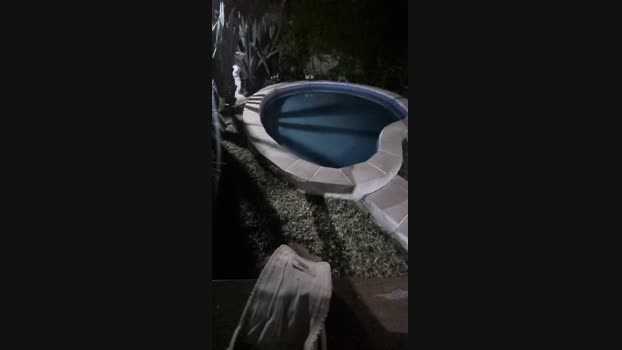 machofacha86 29-01-2024