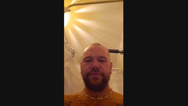 Thatchippy 29-01-2024