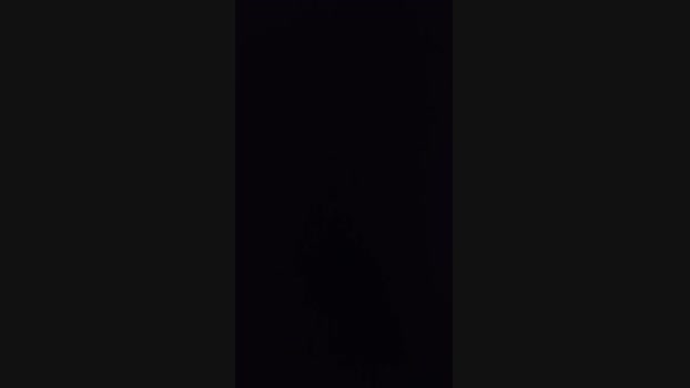 elvinhoskl1 31-01-2024