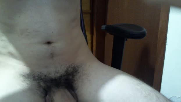 hppnn2 08-02-2024