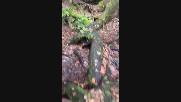Diegomorbo_str 11-02-2024