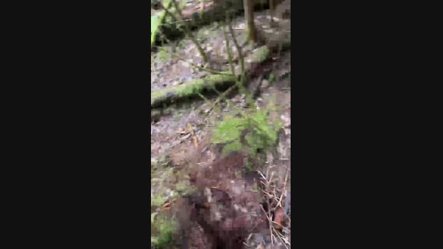Diegomorbo_str 11-02-2024