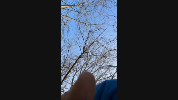 Edward_venezia 14-02-2024