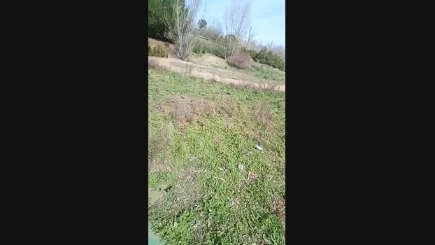 pitorry_hot4 18-02-2024