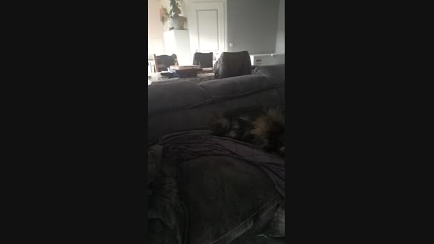 Xsmp 20-02-2024
