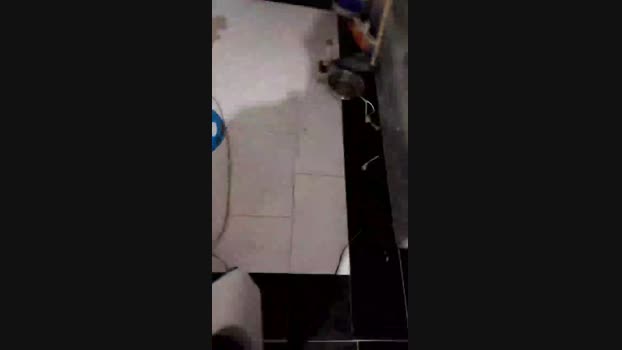 dirty_brown 21-02-2024