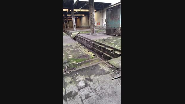 publicexib1 21-02-2024