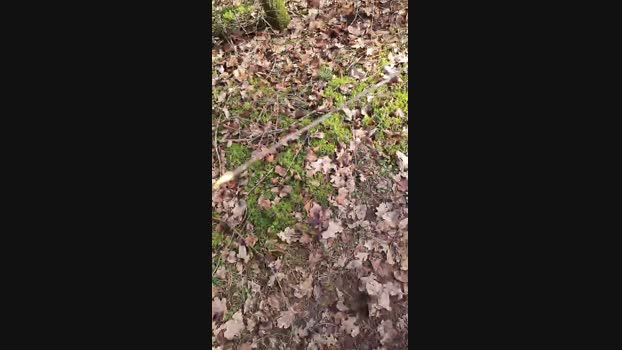 Outdoorgeil1 27-02-2024