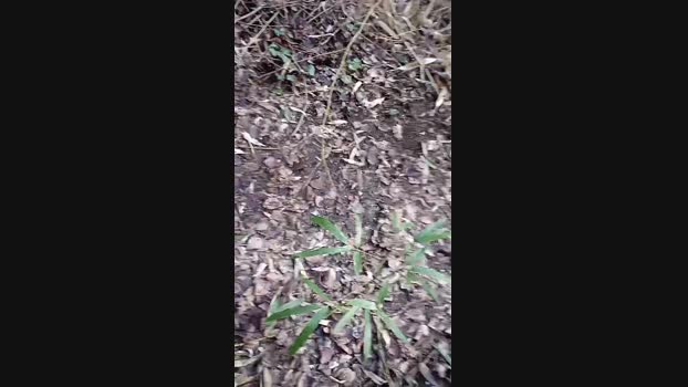 albaniacaserta4 02-03-2024