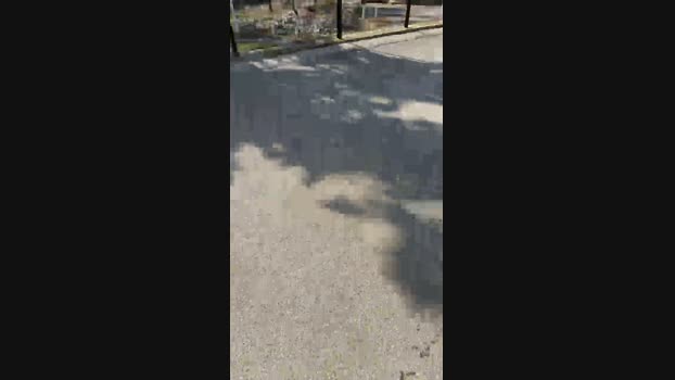 babiscam 02-03-2024