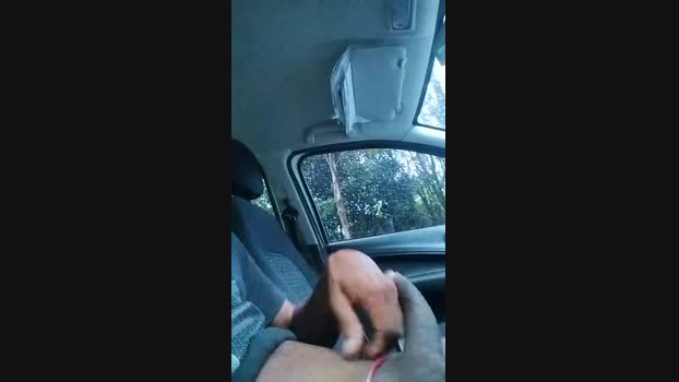 MacciSantana Cam4 10-03-2024 Males