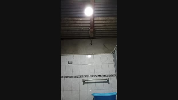 Lobogym39