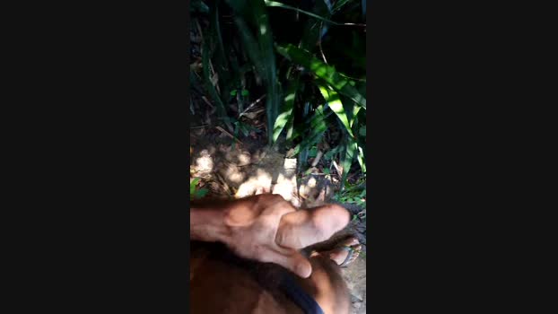 recoblue22cm Cam4 12-03-2024 Males