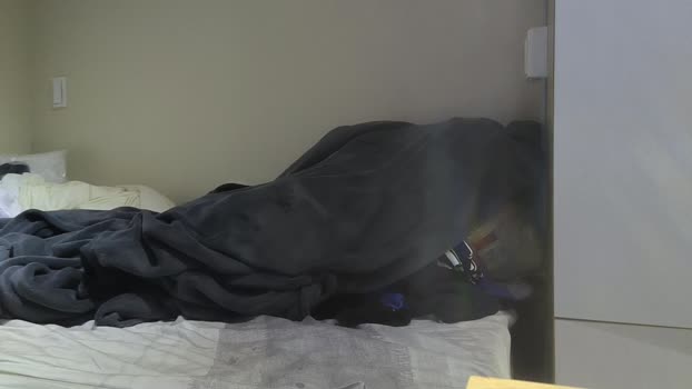 frankcum10 Cam4 12-03-2024 Males